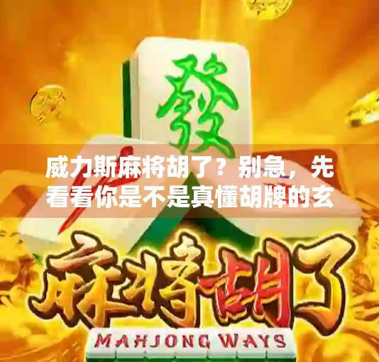 威力斯麻将胡了？别急，先看看你是不是真懂胡牌的玄机！