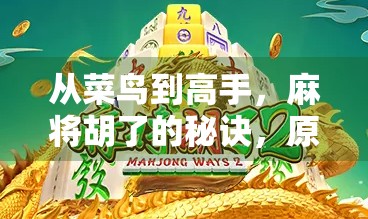 从菜鸟到高手，麻将胡了的秘诀，原来不只是运气！